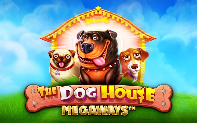 Get free spins in The Dog House Megaways at 1win.